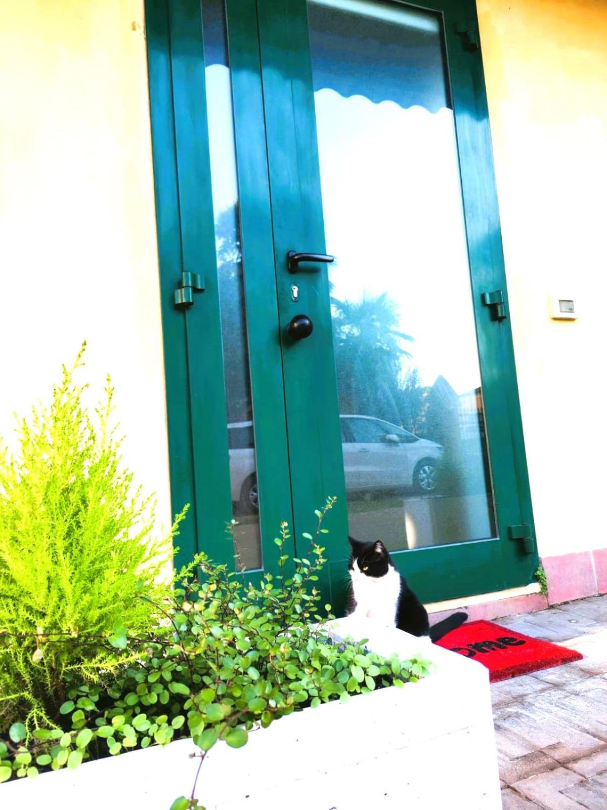 Confortevole Appartamento Il Sorriso piano terra ingresso indipendente per una tranquilla privacy Lugo  Esterno foto